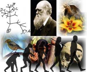 Puzle Darwin den, byl Charles Darwin narodil 12. února 1809. Darwin strom, první program z jeho evoluční teorii