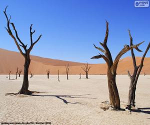 Puzle Deadvlei, Namibie