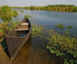 Puzle Delta Dunaje, delta největší a nejzachovalejší v Evropě. Rumunsko.