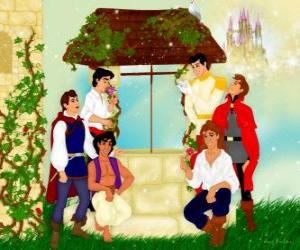 Puzle Disney Princes