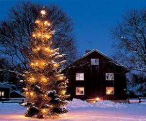 Puzle Dům s velkým vyzdobený vánoční strom v zahradě