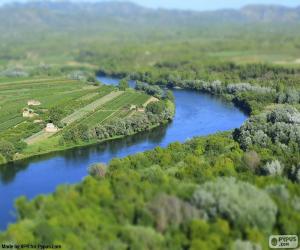 Puzle Ebro, Tarragona