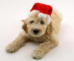 Puzle Elegantní štěně pro oslavy Vánoc s kloboukem