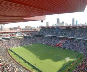 Puzle Ellis Park Stadium (61.639), Johannesburg