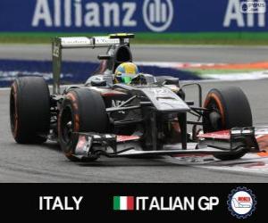 Puzle Esteban Gutiérrez - Sauber - Monza, 2013