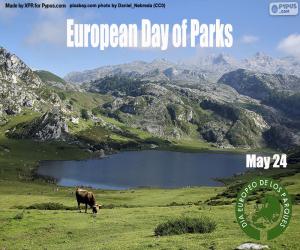 Puzle Evropský den parků
