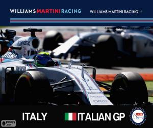 Puzle F. Massa, GP Itálie 2015