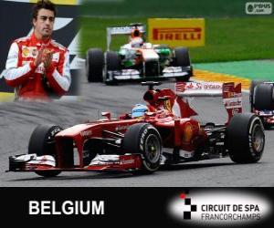 Puzle Fernando Alonso - Ferrari - 2013 belgické Grand Prix, svírající klasifikované