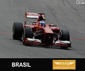 Puzle Fernando Alonso - Ferrari - Grand Prix Brazílie 2013, 3 klasifikované