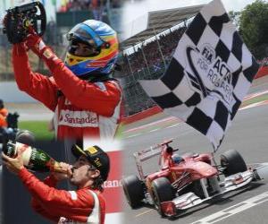 Puzle Fernando Alonso slaví vítězství v Grand Prix Velké Británie (2011)