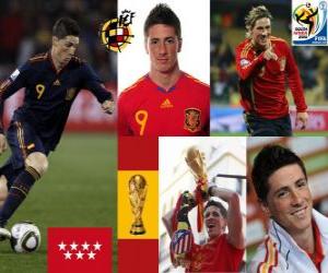 Puzle Fernando Torres (Bylo nás sen), španělského národního týmu vpřed