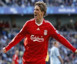 Puzle Fernando Torres oslavuje cíl