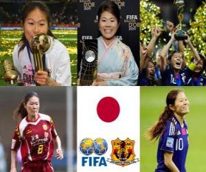Puzle FIFA žen světového hráče roku 2011 výherce Homare Sawa