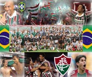 Puzle Fluminense fotbalový klub šampion v roce 2010 brazilský šampionát