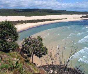 Puzle Fraser Island, písčitá ostrov je 122 km dlouhá a je největší svého druhu. Austrálie.
