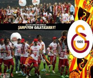 Puzle Galatasaray, mistr Super Lig 2012-2013, Turecko fotbalové ligy