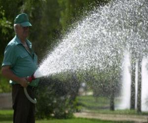 Puzle Gardener tendenci rostliny, zalévání