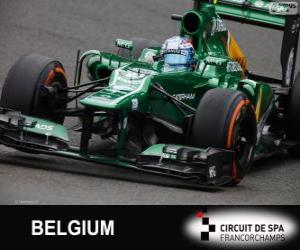 Puzle Giedo van der Gardem - Caterham - Spa-Francorchamps, 2013