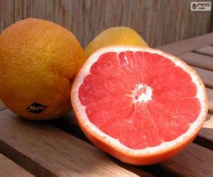 Puzle Grapefruit