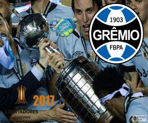 Puzle Gremio, mistr Libertadores 2017