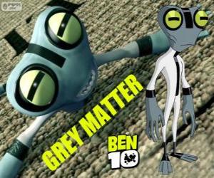 Puzle Grey Matter, Ben 10