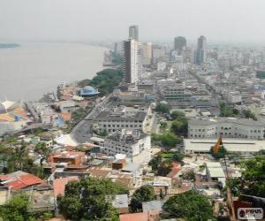 Puzle Guayaquil, Ekvádor