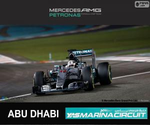 Puzle Hamilton, 2015 Abu Dhabi Grand Prix