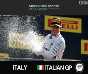 Puzle Hamilton, GP Itálie 2015
