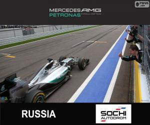 Puzle Hamilton, Grand Prix Ruska 2015