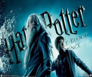 Puzle Harry Potter a Half-Blood Prince