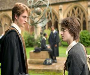 Puzle Harry Potter a jeho přítel Cedric Diggory