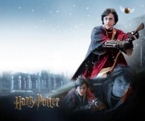 Puzle Harry Potter Quidditch hrát s jeho kouzlo koštětem jako lovec snaží chytit míč