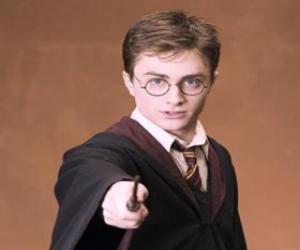 Puzle Harry Potter se svou kouzelnou hůlkou