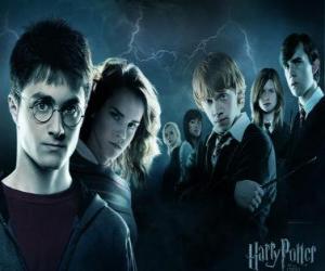 Puzle Harry Potter se svými přáteli
