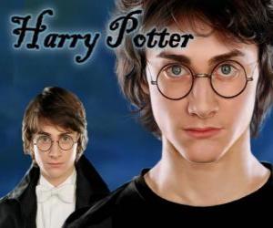 Puzle Harry Potter