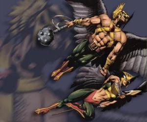 Puzle Hawkman nebo Hawkgirl