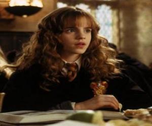 Puzle Hermione Granger, přítel Harry, čtení knihy ve škole