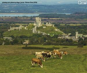 Puzle Hrad Corfe, Anglie