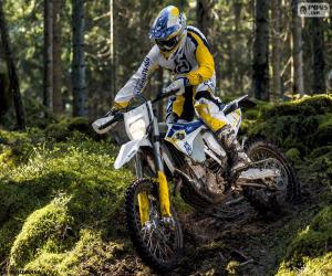 Puzle Husqvarna FE 501 2015