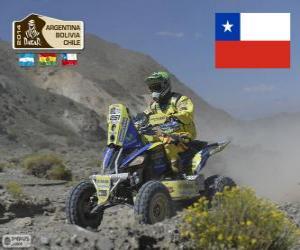 Puzle Ignacio Casale, Dakar 2014