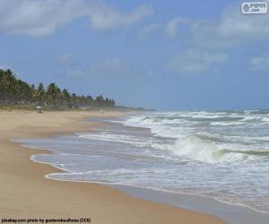 Puzle Imbassai Beach, Brazílie