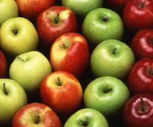 Puzle Jablka různých typů