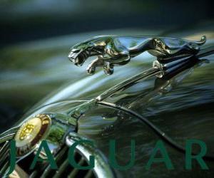 Puzle Jaguar logo, britská značka luxusních vozů a sportovních vozů
