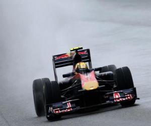 Puzle Jaime Alguersuari - Toro Rosso - Shanghai 2010