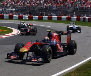 Puzle Jaime Alguersuari - Toro Rosso - Montreal 2010