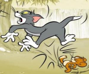 Puzle Jerry dá kopanec do zadní části Tom
