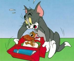Puzle Jerry jí Tom pikniku