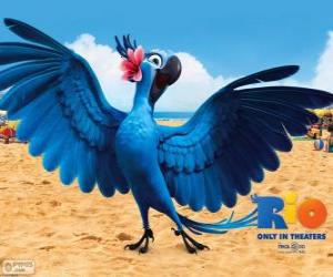 Puzle Jewel je krásná žena papoušek ve filmu Rio