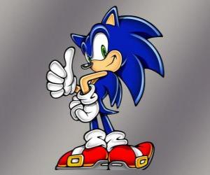 Puzle Ježek Soník, hlavní protagonista videohry Sonic od Sega