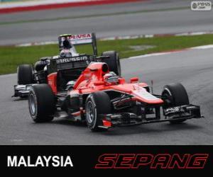 Puzle Jules Bianchi - Marussia - Sepang 2013